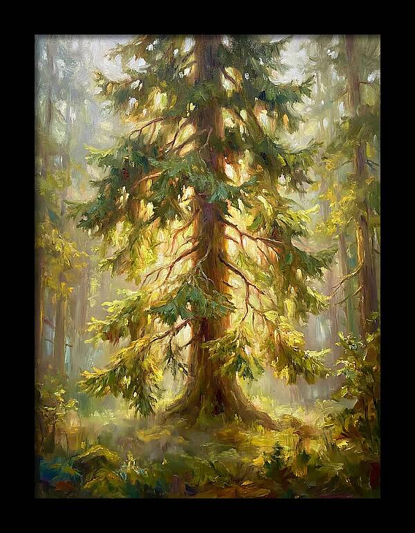 Fir Tree In Forest