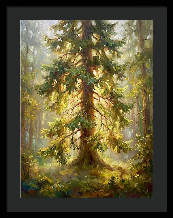 Fir Tree In Forest
