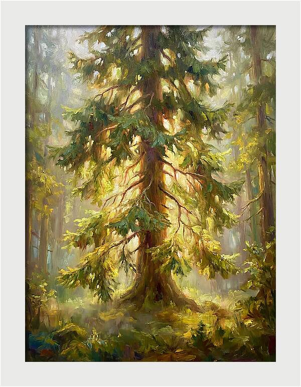 Fir Tree In Forest