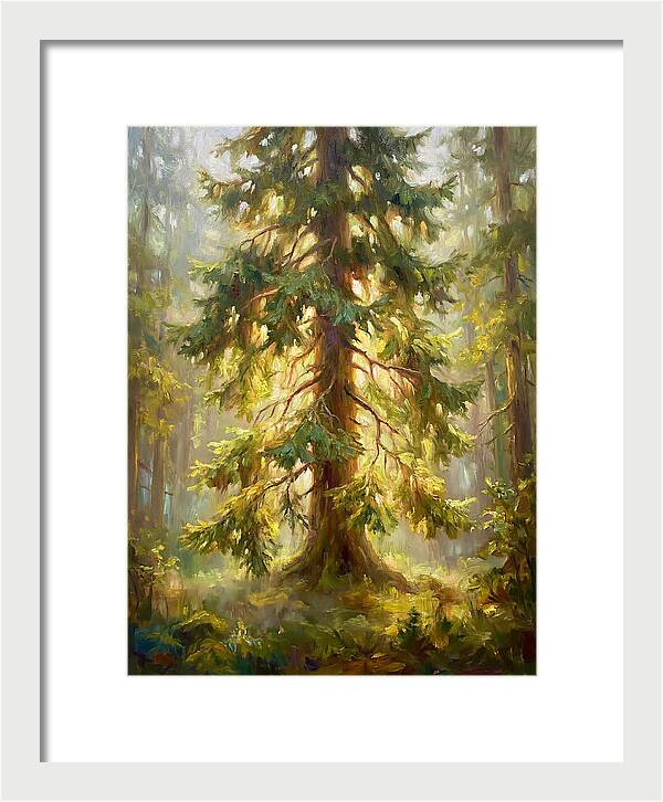 Fir Tree In Forest