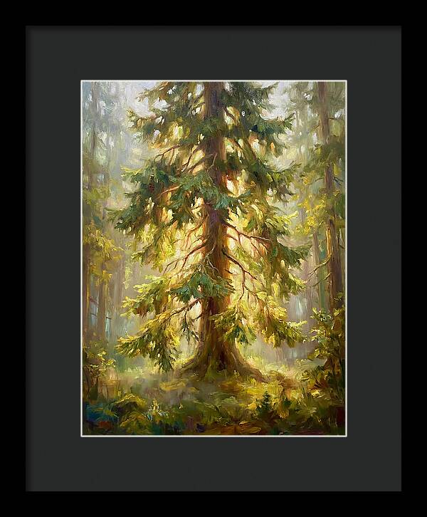 Fir Tree In Forest