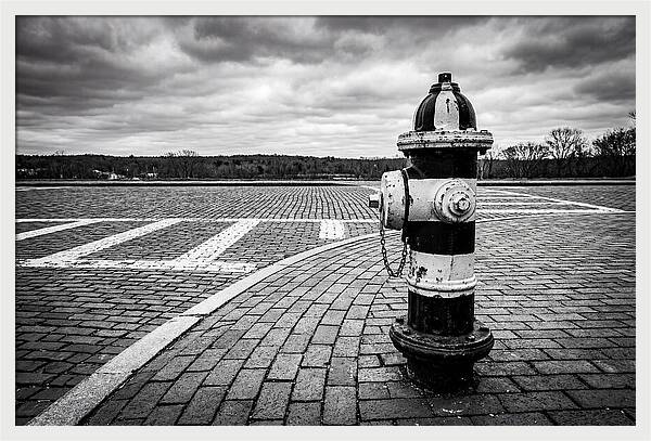 Fire Hydrant In Monochrome