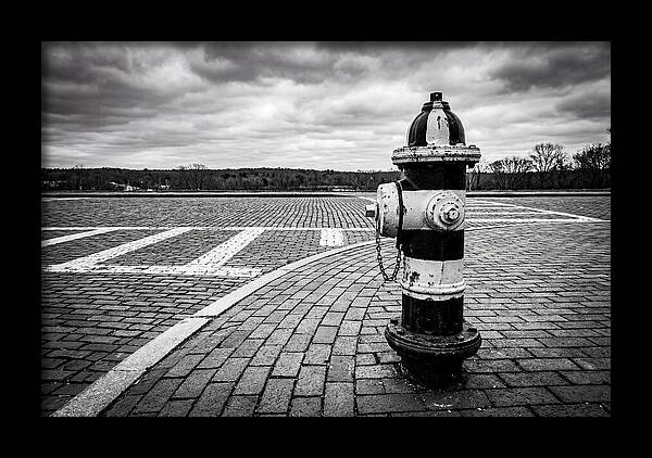 Fire Hydrant In Monochrome