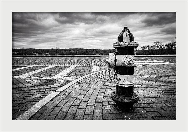 Fire Hydrant In Monochrome