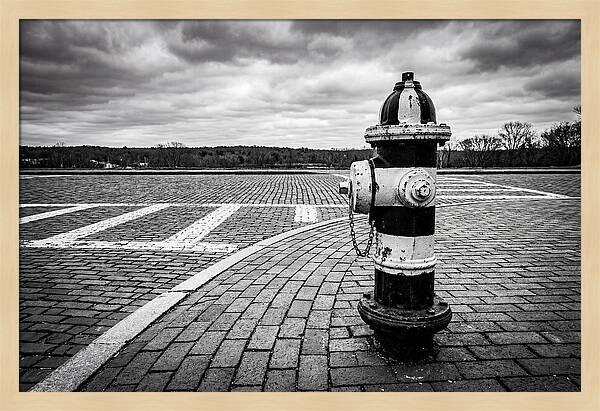 Fire Hydrant In Monochrome