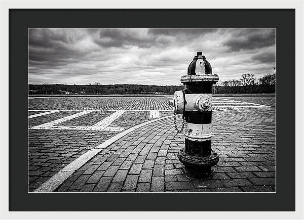 Fire Hydrant In Monochrome