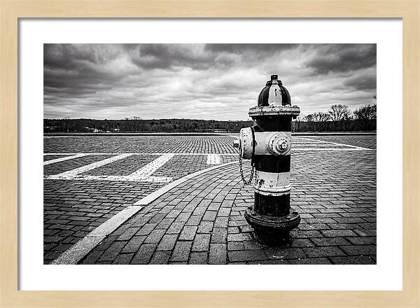 Fire Hydrant In Monochrome