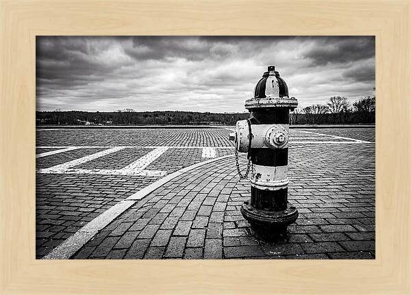 Fire Hydrant In Monochrome