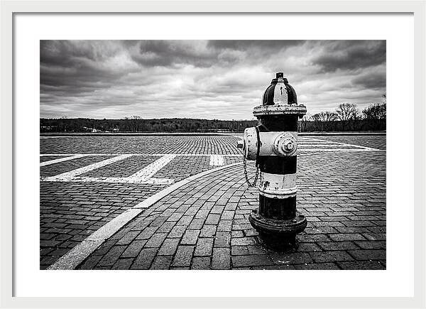 Fire Hydrant In Monochrome