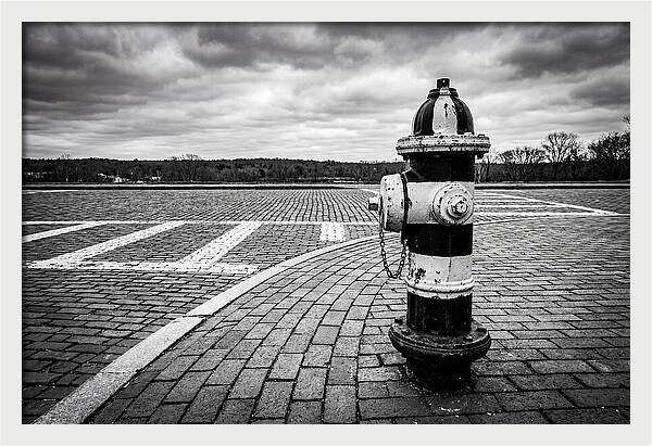 Fire Hydrant In Monochrome