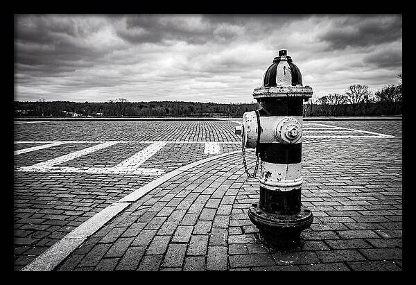 Fire Hydrant In Monochrome