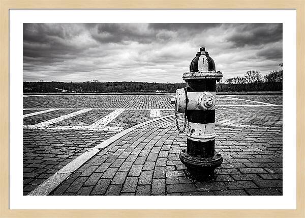 Fire Hydrant In Monochrome