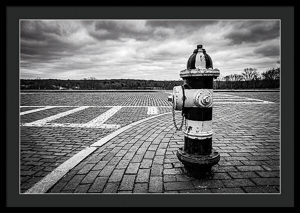 Fire Hydrant In Monochrome