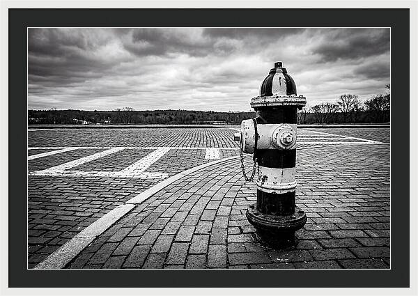 Fire Hydrant In Monochrome