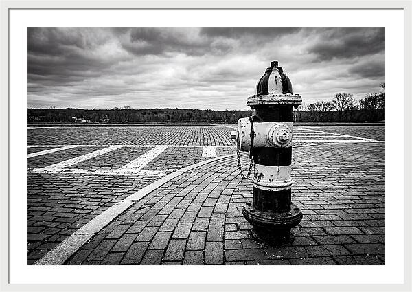 Fire Hydrant In Monochrome