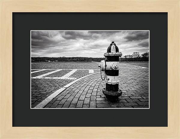 Fire Hydrant In Monochrome