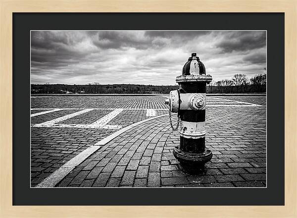 Fire Hydrant In Monochrome