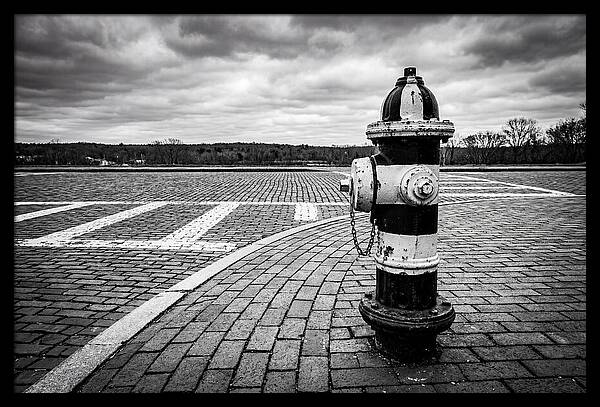 Fire Hydrant In Monochrome