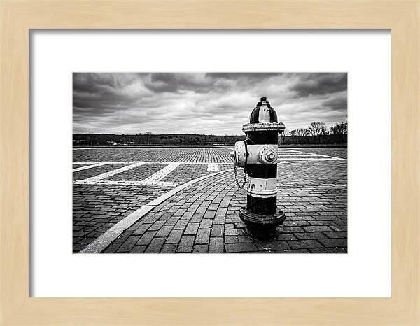 Fire Hydrant In Monochrome