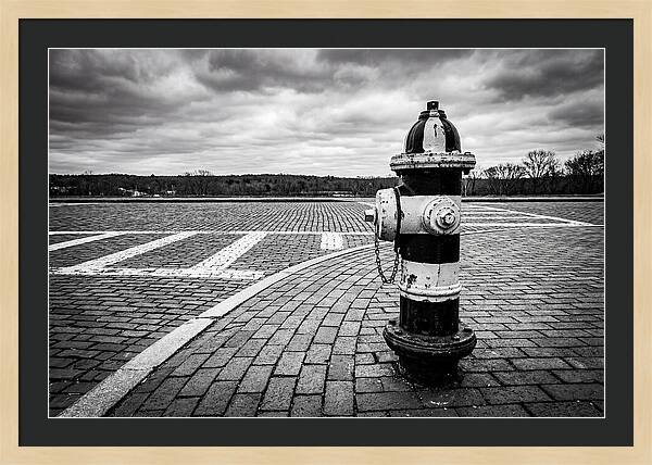 Fire Hydrant In Monochrome