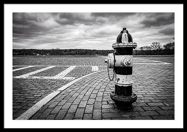 Fire Hydrant In Monochrome