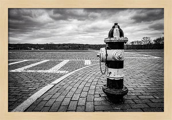 Fire Hydrant In Monochrome