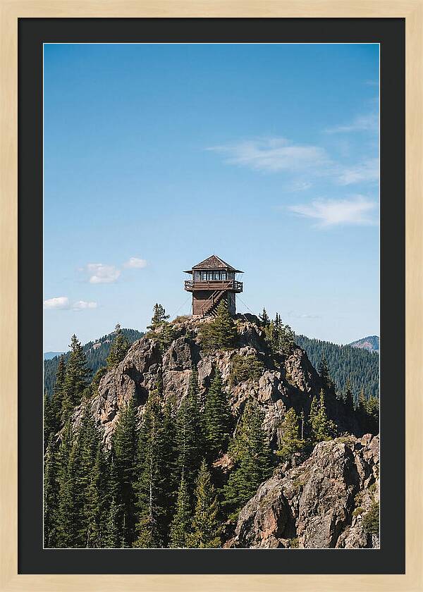 Fire Lookout Tower Above The Forest