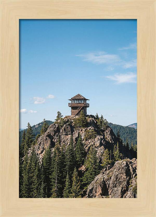 Fire Lookout Tower Above The Forest