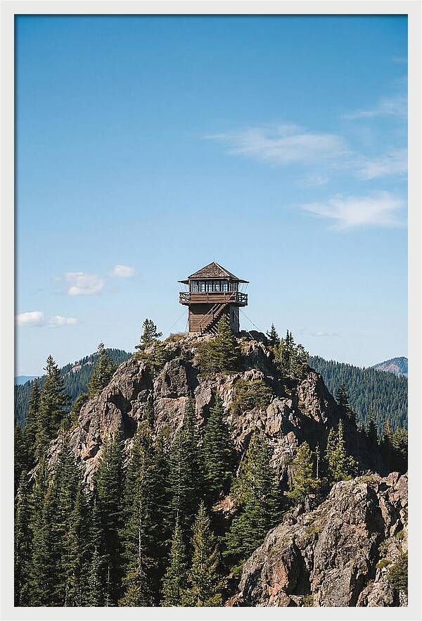 Fire Lookout Tower Above The Forest