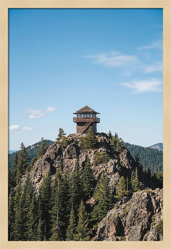 Fire Lookout Tower Above The Forest