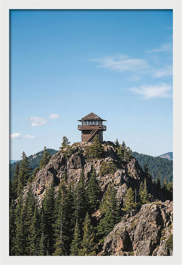 Fire Lookout Tower Above The Forest