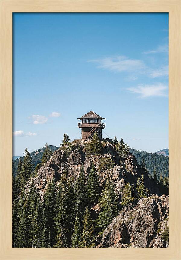 Fire Lookout Tower Above The Forest