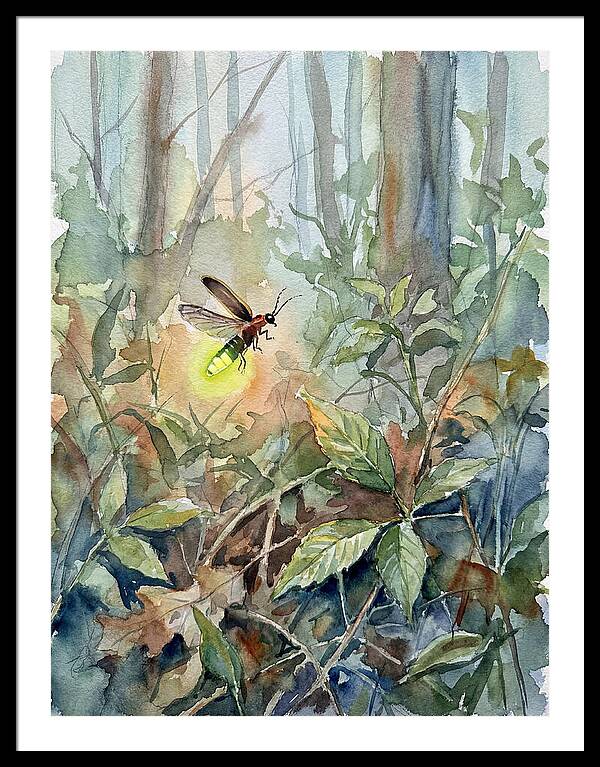 Firefly Illuminating The Night