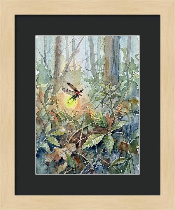 Firefly Illuminating The Night