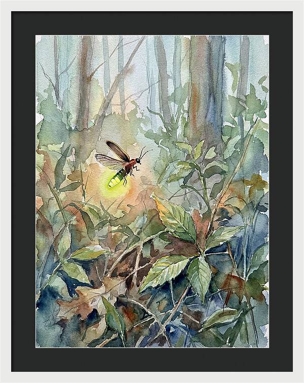 Firefly Illuminating The Night