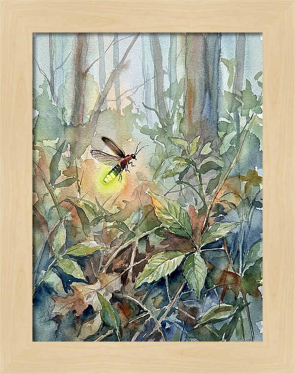 Firefly Illuminating The Night