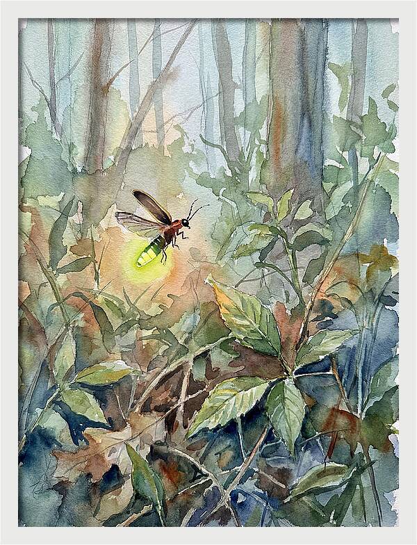Firefly Illuminating The Night