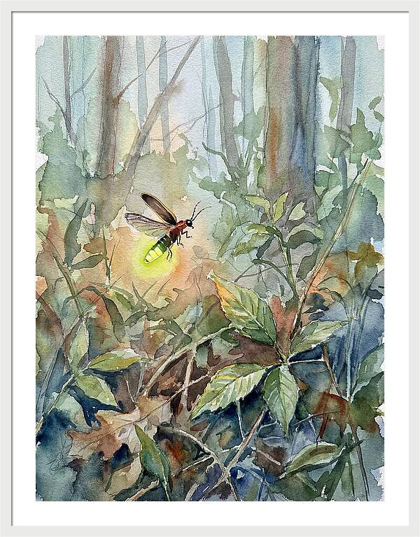 Firefly Illuminating The Night