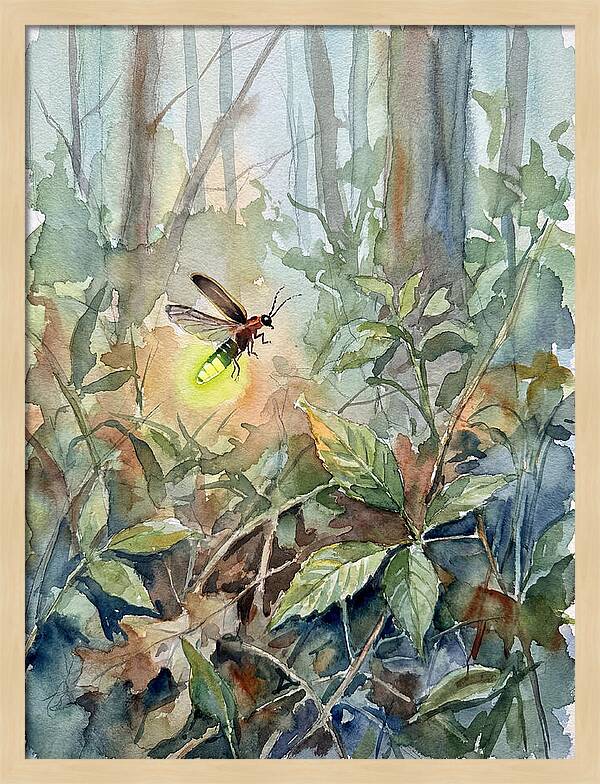 Firefly Illuminating The Night