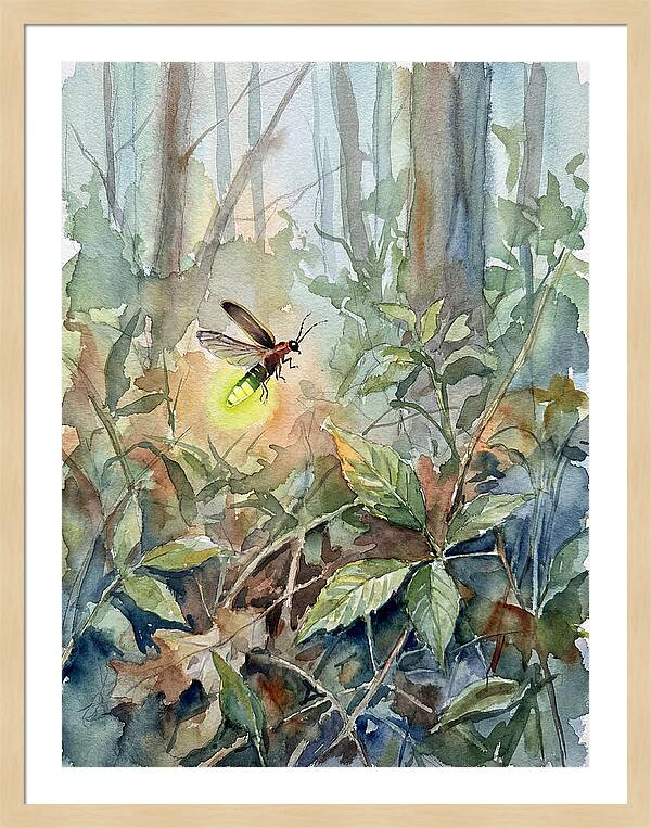 Firefly Illuminating The Night
