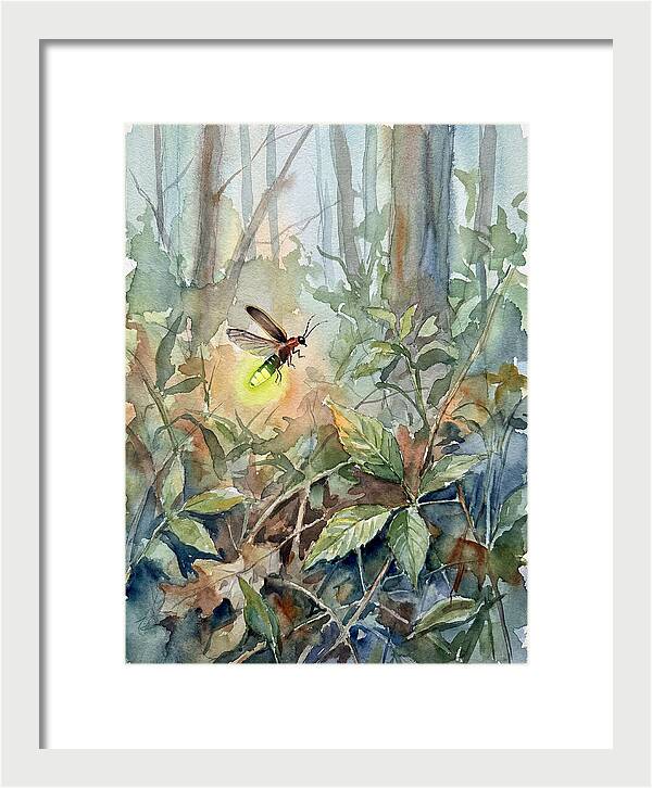 Firefly Illuminating The Night
