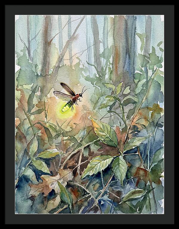 Firefly Illuminating The Night