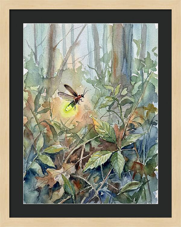 Firefly Illuminating The Night