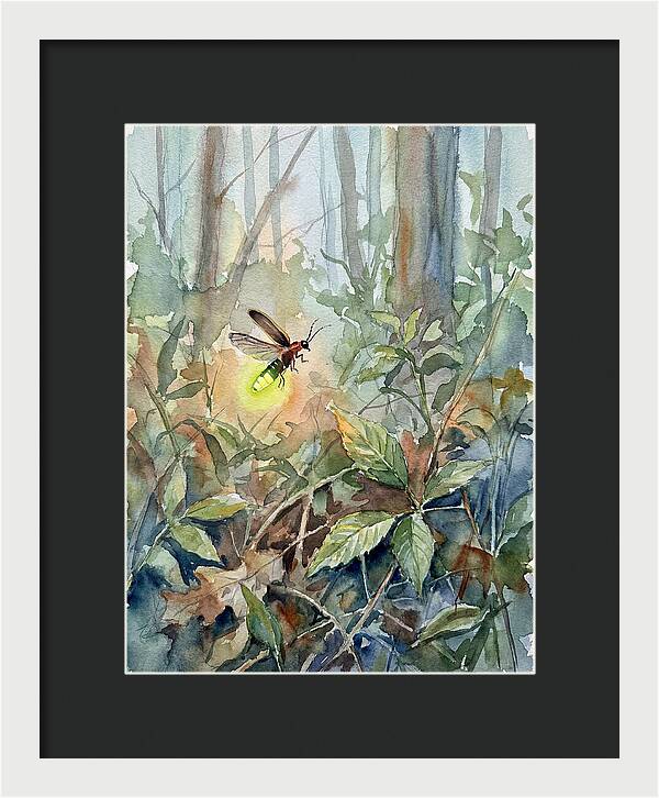 Firefly Illuminating The Night