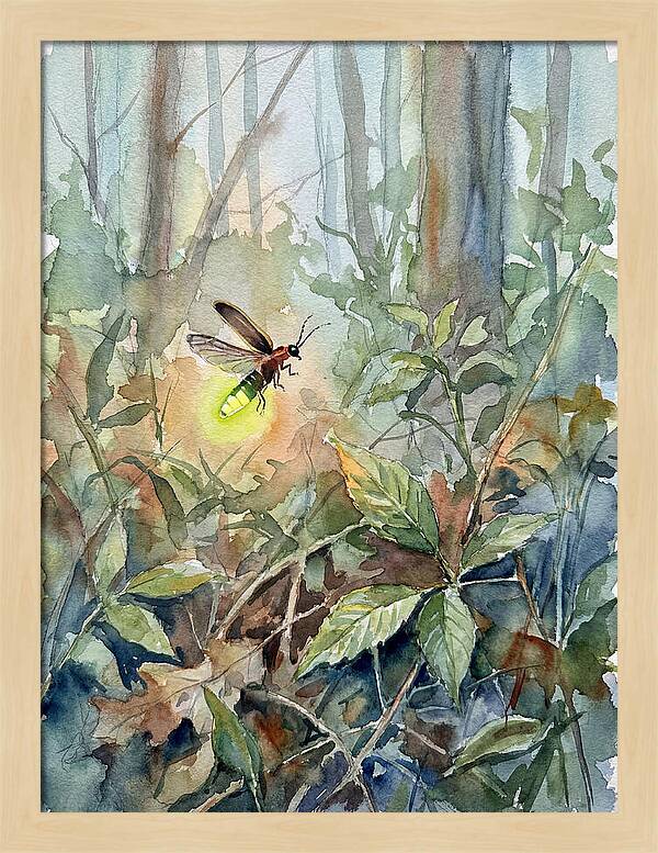 Firefly Illuminating The Night