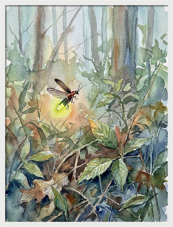Firefly Illuminating The Night
