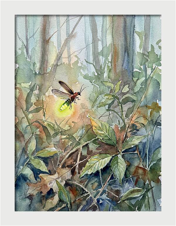 Firefly Illuminating The Night