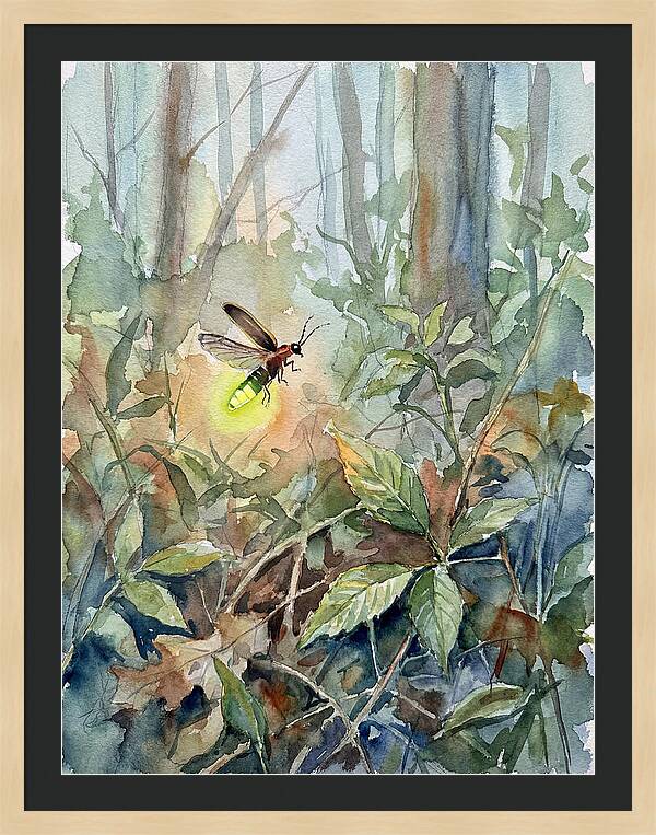 Firefly Illuminating The Night