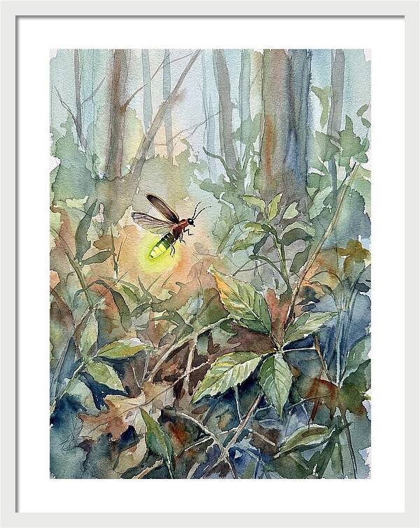 Firefly Illuminating The Night
