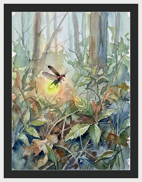 Firefly Illuminating The Night